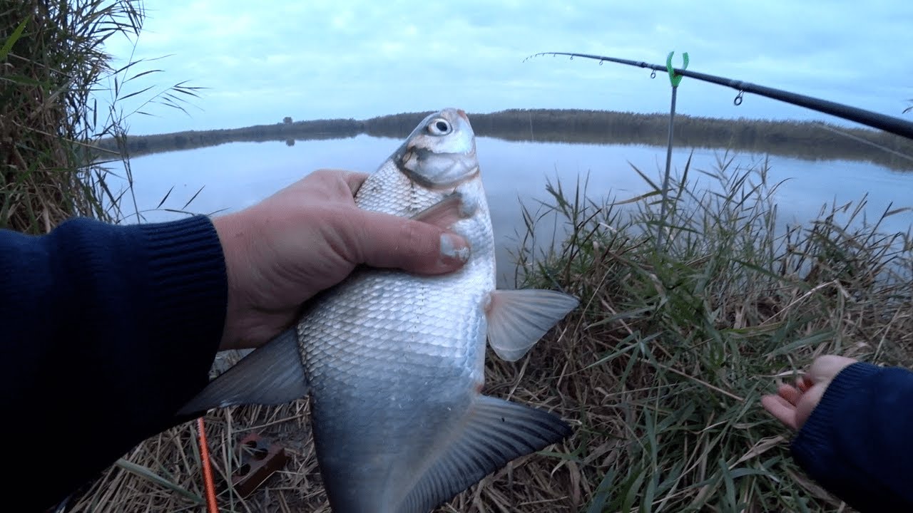 Пробная рыбалка на ФИДЕР Kaida impulse 2 Приловил спустя месяц @Рыбацкая удача🎣