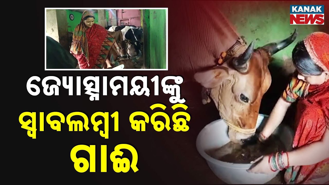 This Woman Earns ₹3,000 a Day from Dairy Farming | Inspiring Story from Odisha