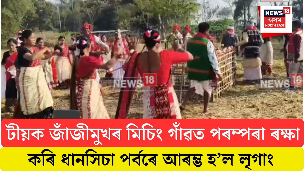 Teok News| টীয়ক জাঁজীমুখৰ মিচিং গাঁৱত পৰম্পৰা ৰক্ষা কৰি ধানসিচা পৰ্বৰে আৰম্ভ হ’ল লৃগাং | N18V
