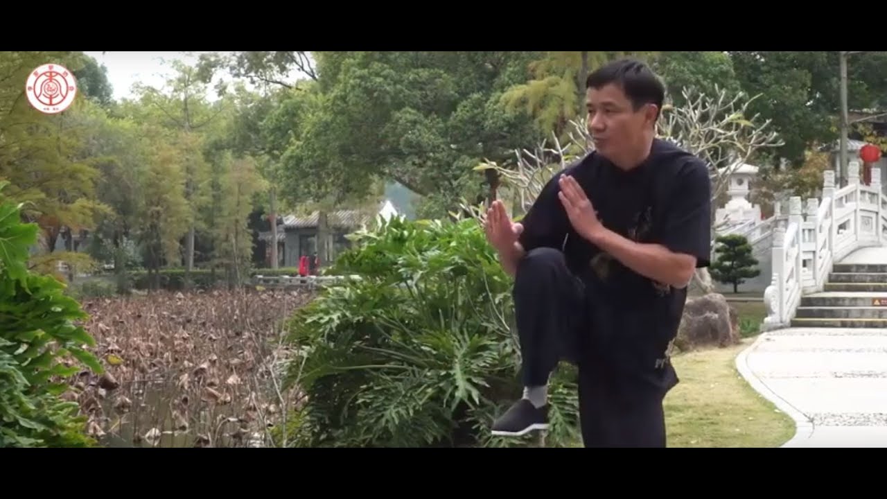 Guangdong Lee Family Boxing | Lei Ga Kuen | 惠州李家拳
