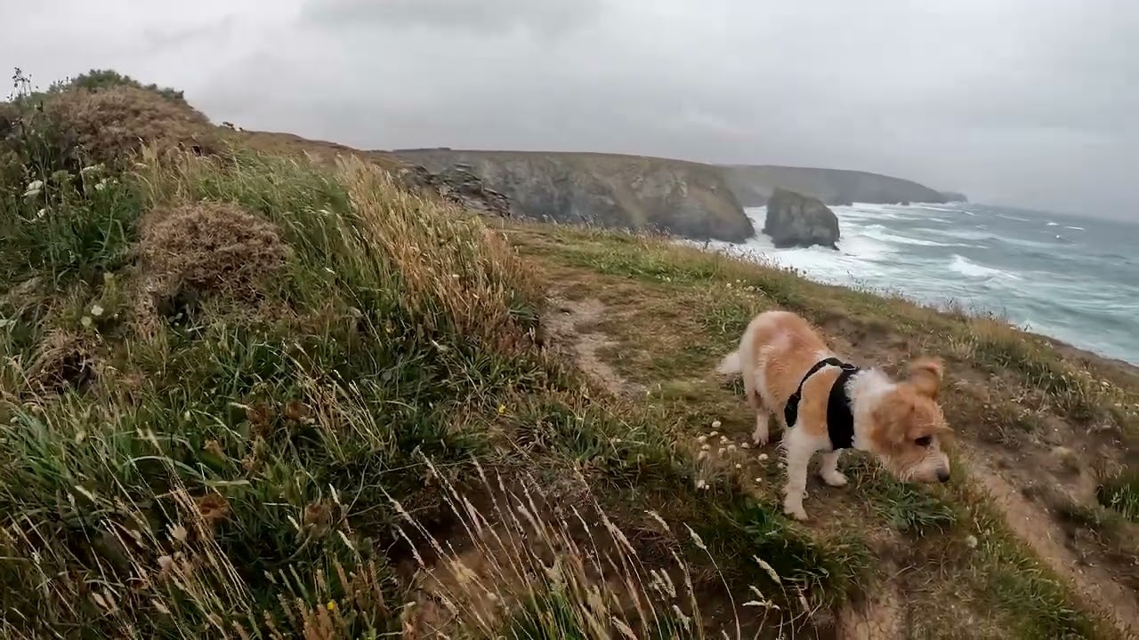 Park Head