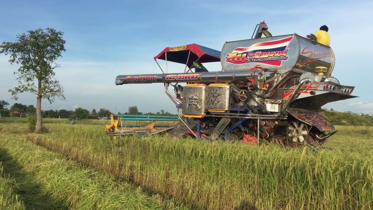 สินเจริญเกี่ยวข้าวตั่ง วิ่งคลองตัวดีครับ
