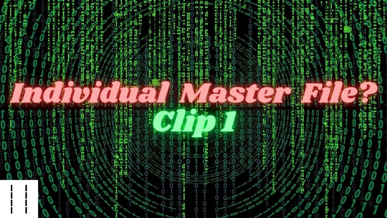 Individual Master File, Death Master File, CAFR  Clip 1 Debt and Interest