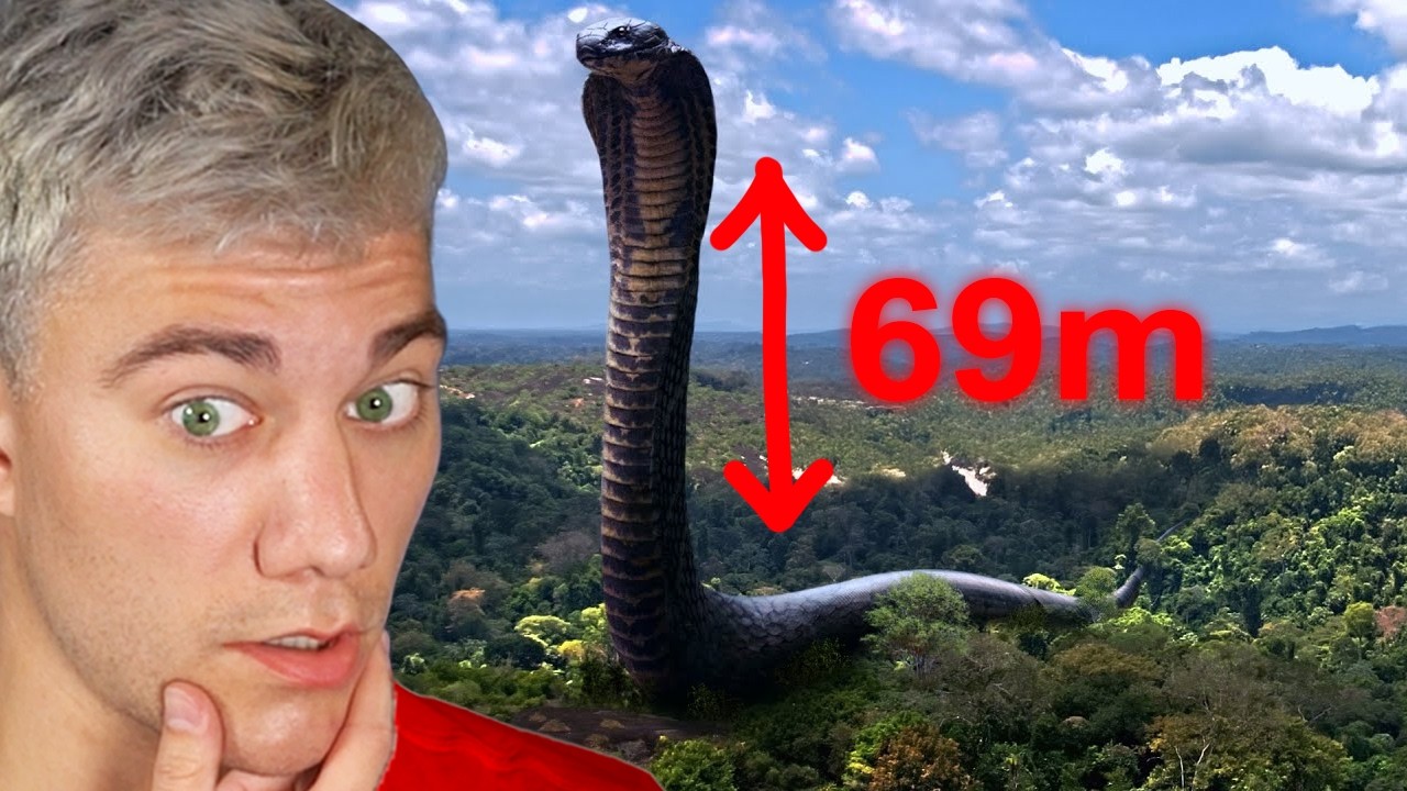 NEJVĚTŠÍ HAD KTERÝ KDY ŽIL!