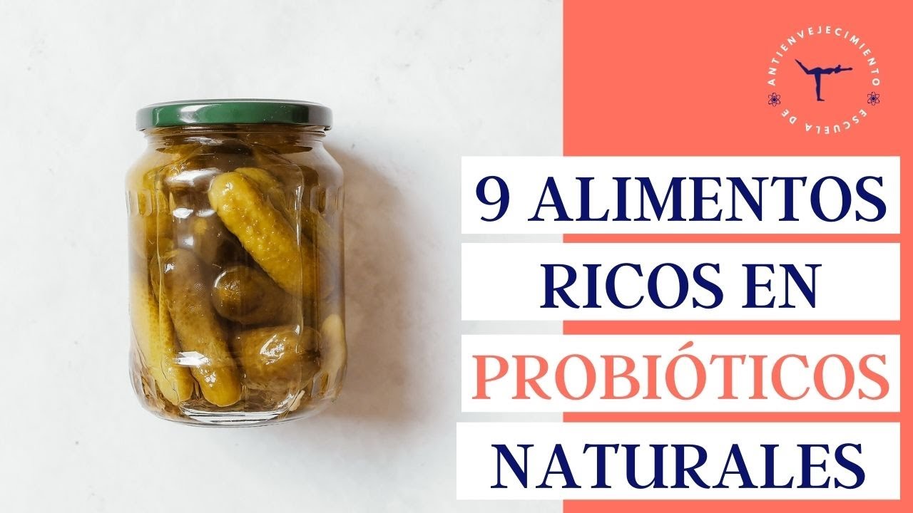 9 Alimentos ricos en PROBI&Oacute;TICOS NATURALES para mejorar la digesti&oacute;n💙