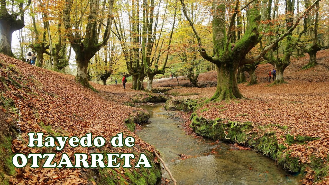 Hayedo de Otzarreta y Cascada de Uguna, en otoño - Parque Natural de Gorbeia. País Vasco