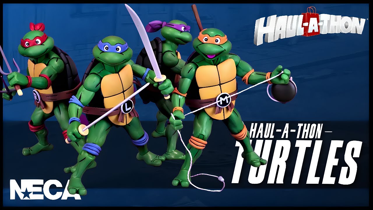 NECA Toys Haul-A-Thon TMNT The Animated Series Turtles 4-Pack 