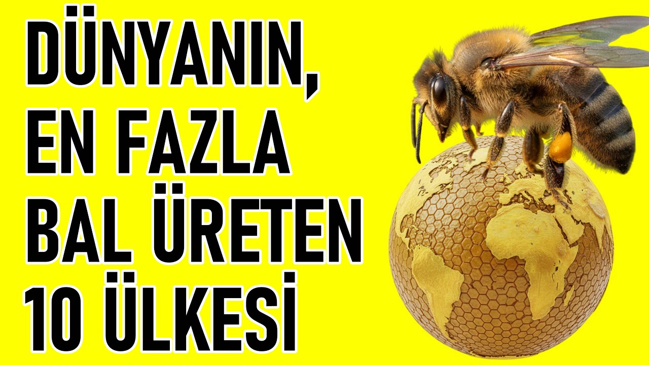 D&uuml;nyanın En Fazla Bal &Uuml;reten 10 &Uuml;lkesi! T&uuml;rkiye'de Bal &Uuml;retimi
