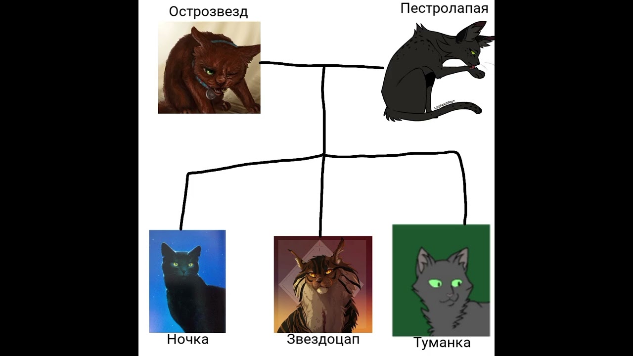 Семейное Древо Котов Воителей 
