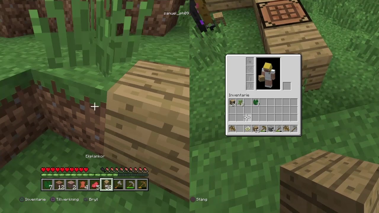 One life minecraft  serie