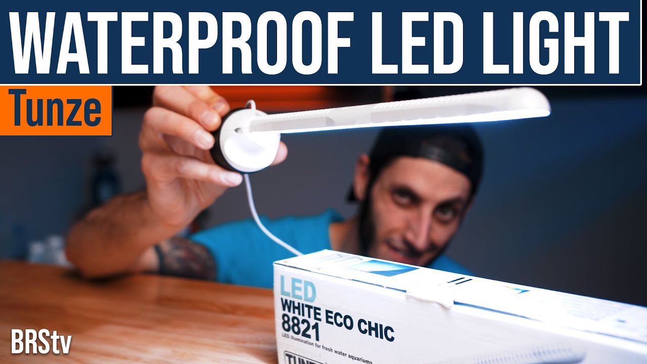 Want to Display Your Macroalgae Refugium Without the Blurple Color? Tunze White Eco Chic LED