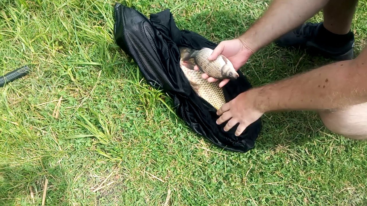 Pe Lacul Boteni 1, RETINEREA pestelui in JUVELNIC presupune INTENTIA pescarului de a ACHITA in PLUS