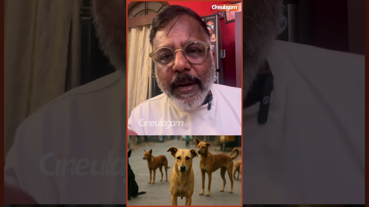 நேற்று நீங்கள் பார்த்தது சினிமா 😡 - Badava gopi