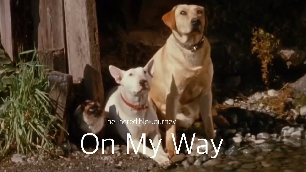 The Incredible Journey - On My Way