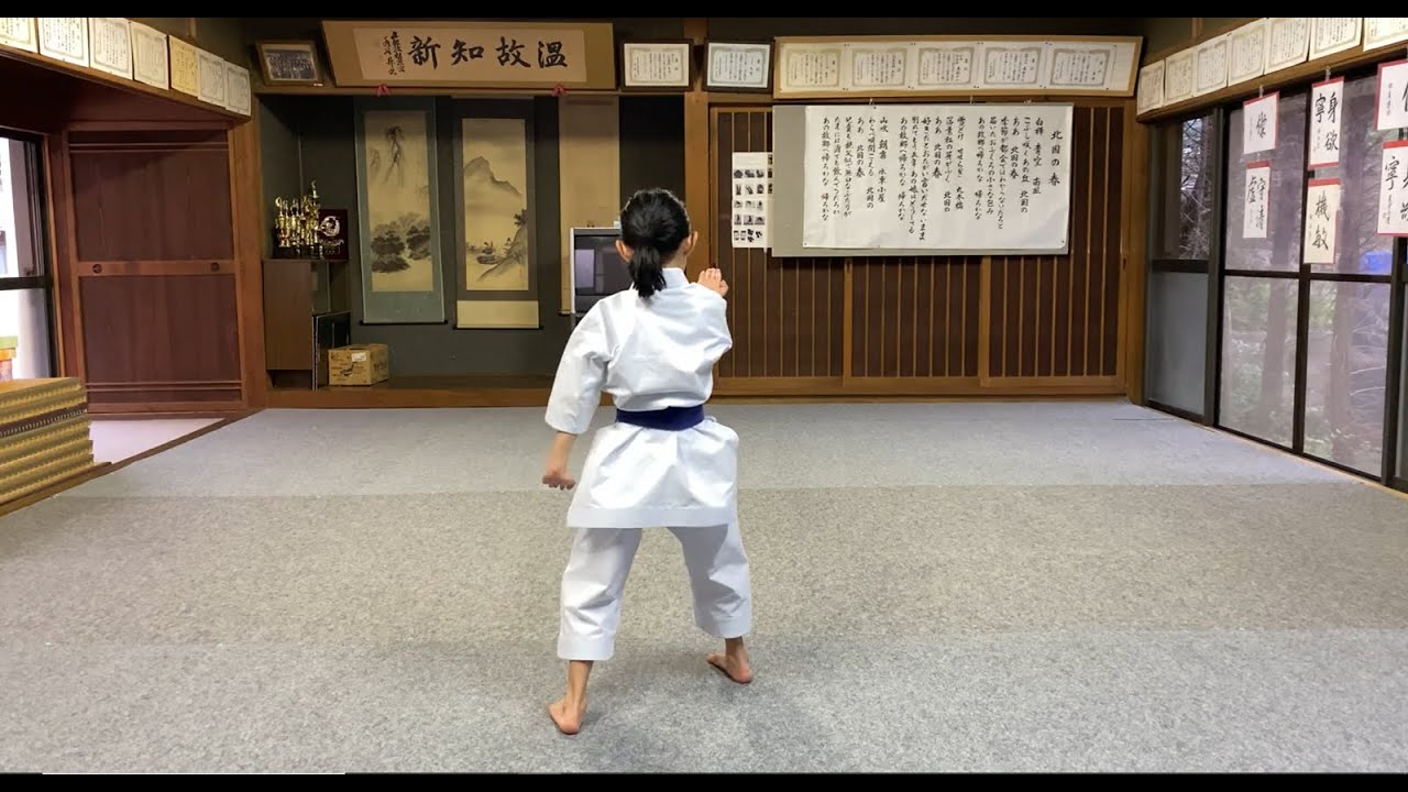 糸東流 パープーレン 8歳