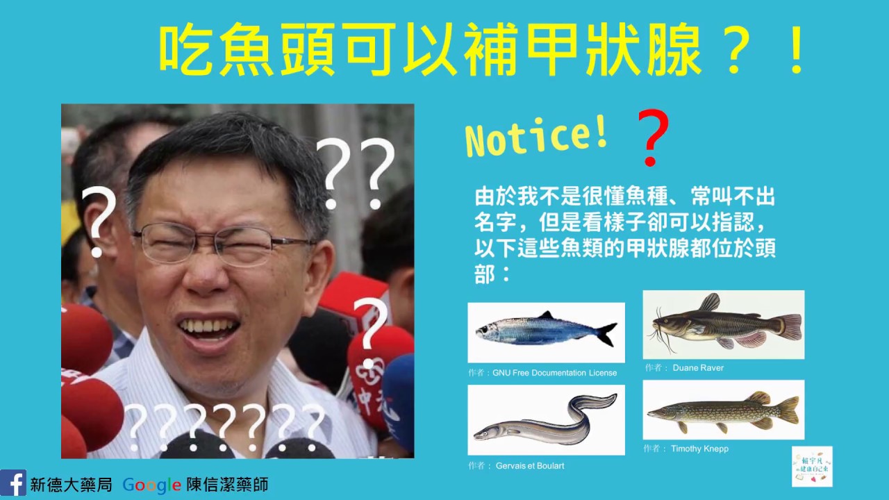 吃魚頭補甲狀線？
