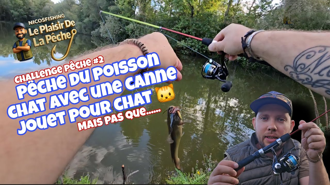 Je Pêche Le Poisson Chat Avec Un Jouet Pour Chat 🐱  CHALLENGE PÊCHE #2 