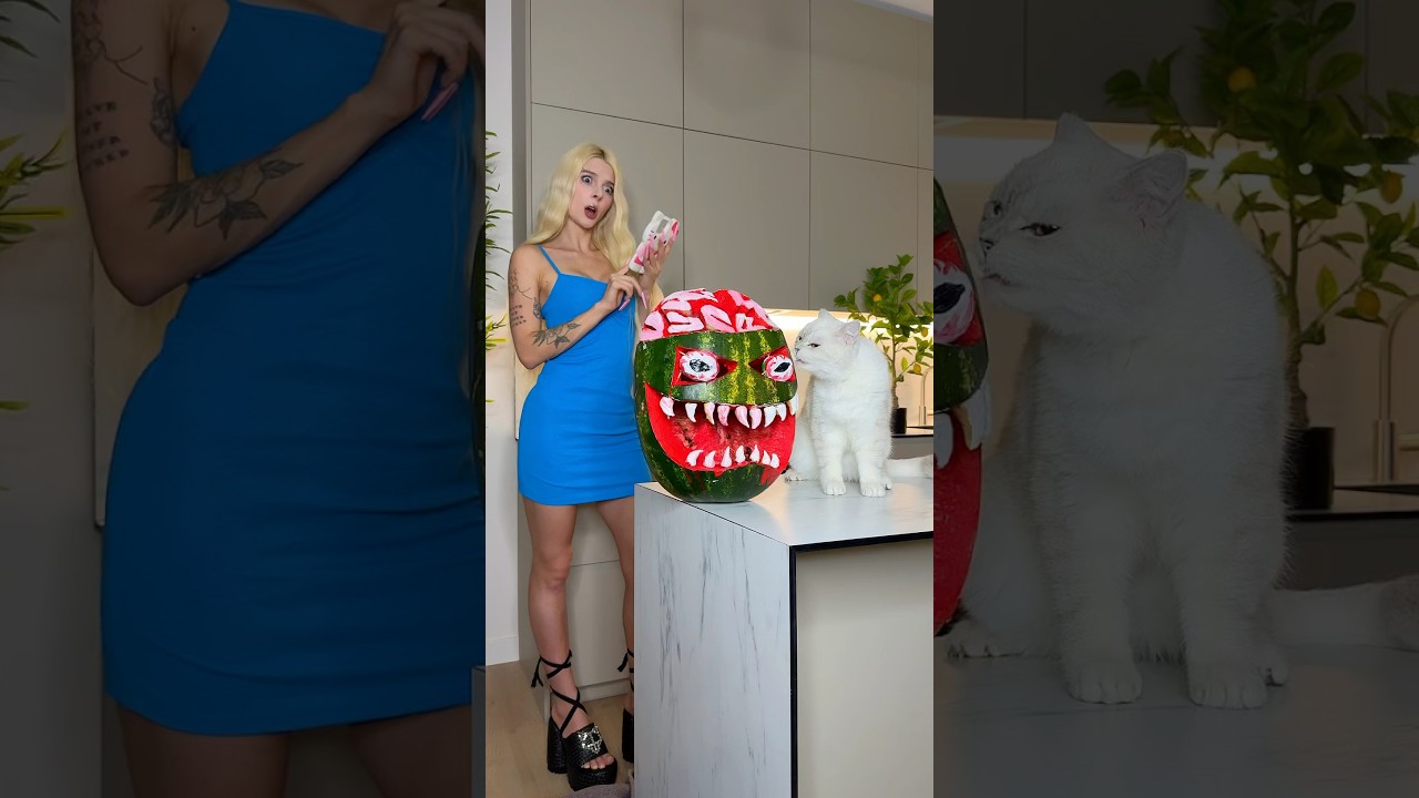 My cat scares me every day🍉😱 