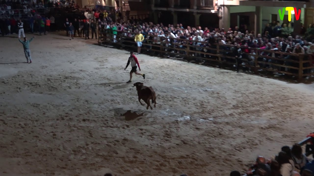 Villarramiel. Fiesta San Bartolomé 2025 - Vaquilla de Prueba