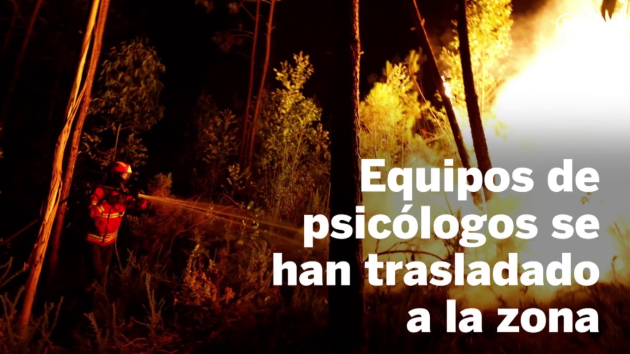 Más de 60 muertos y 54 heridos en un incendio forestal en Portugal | Internacional