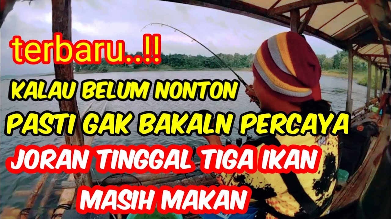 Terbaru...!! Kalau belum nonton pasti gak percaya. Joran tinggal tiga ikan masih makan.