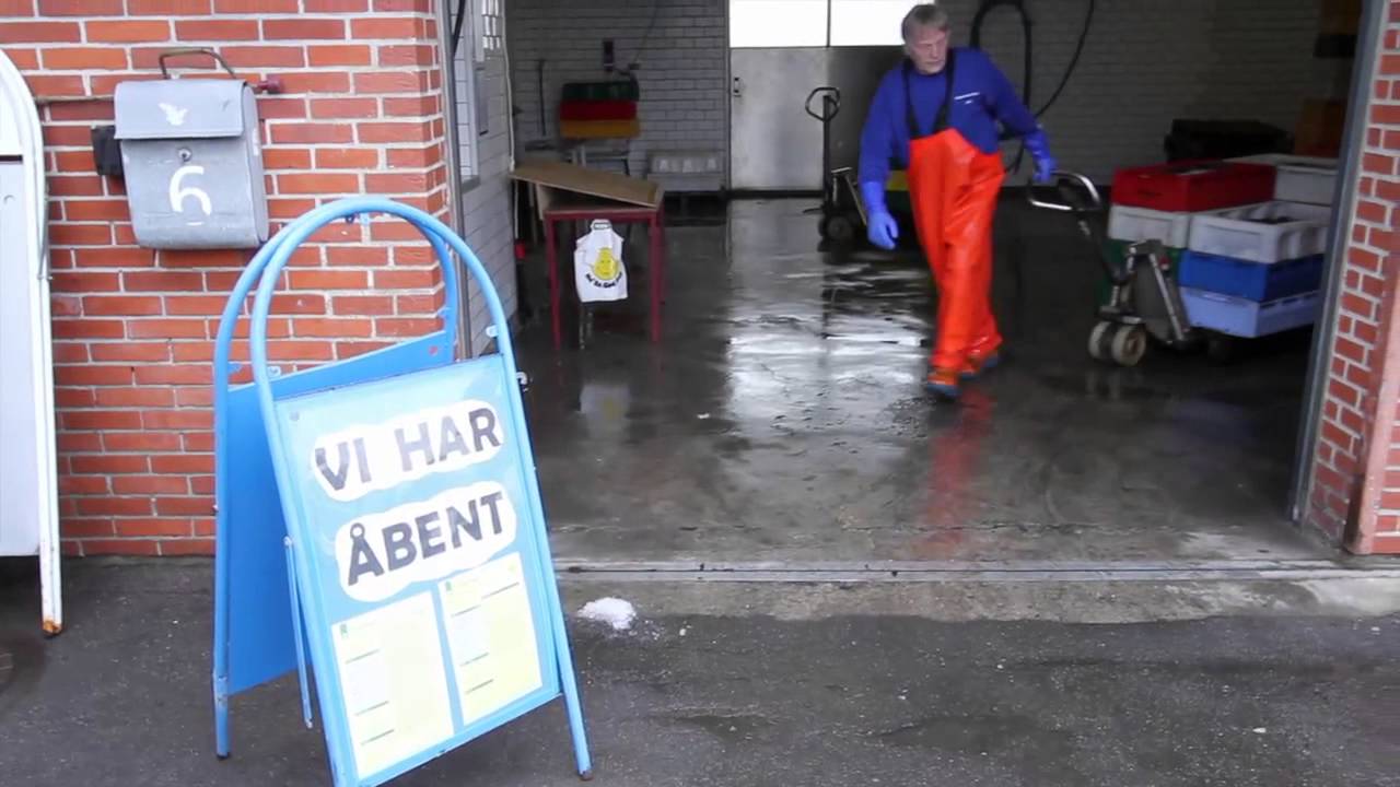 Bagenkop Fisk