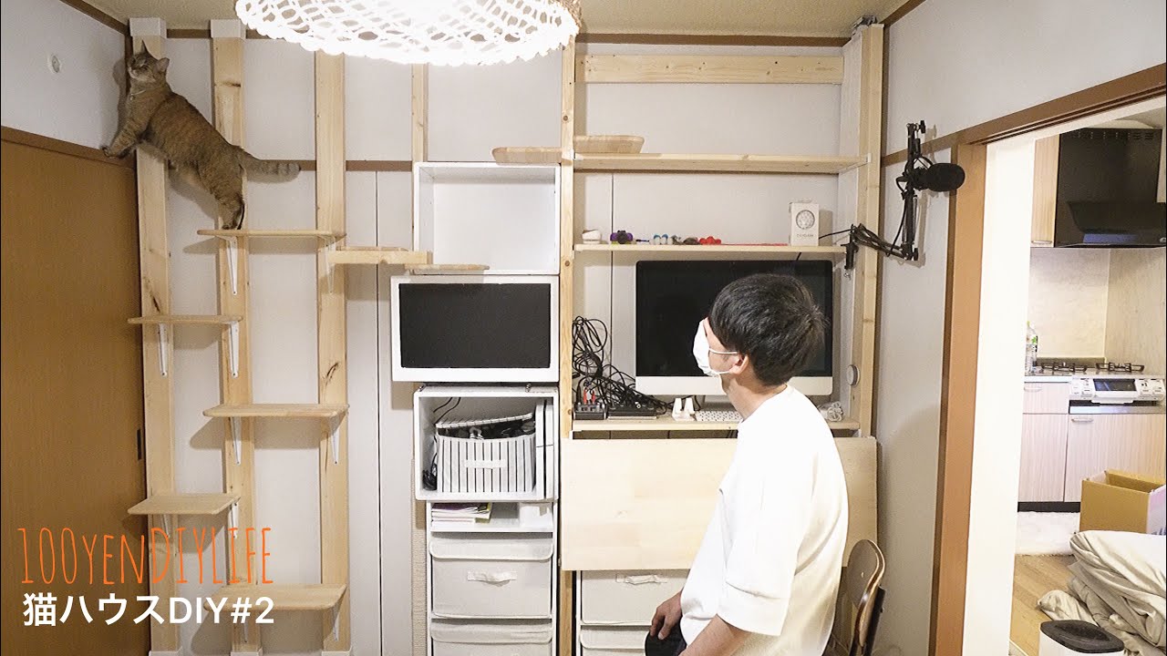 2×4とカラーボックスでパソコン棚キャットウォークをDIY【賃貸の部屋で猫ハウスDIY＃2】
