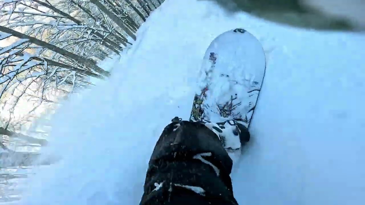Pow day Alpika #shorts