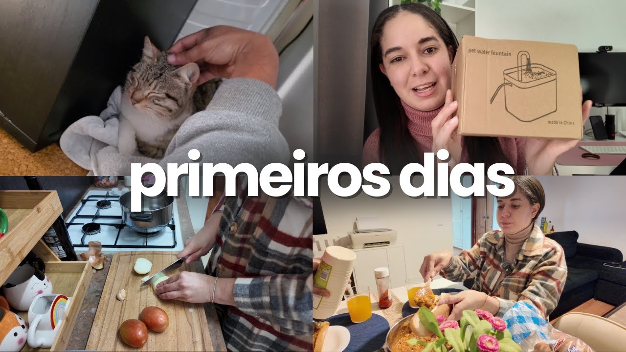 PRIMEIROS DIAS COM O GATO 🐾 | ROTINA, ADAPTAÇÃO E COMPRINHAS PET