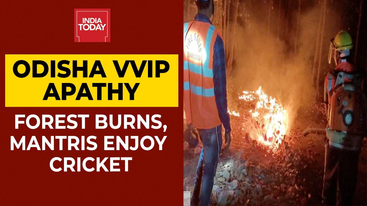 Odisha: Forest Fire At Similipal Reserve Continues For Two Weeks, Minsiters Chill At 5-Star Resort