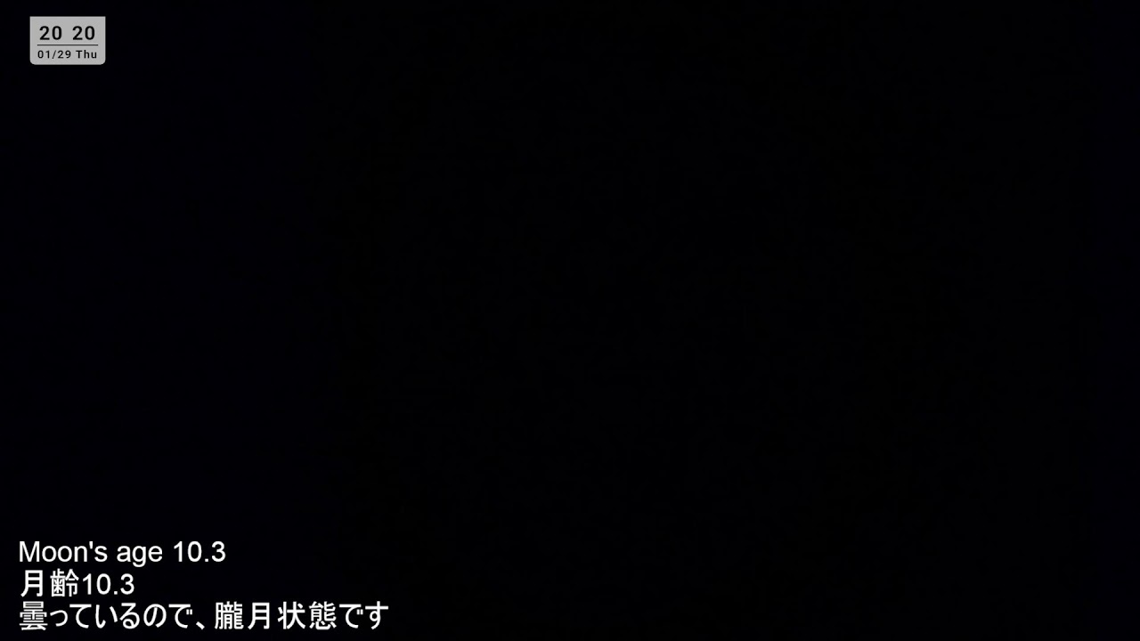 moon on jan/29/2026
