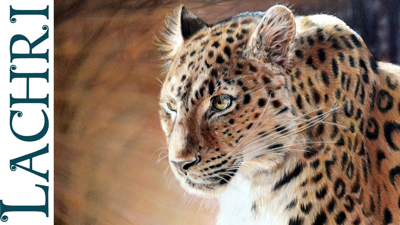 Speed drawing leopard in colored pencil  - tutorial by  Lachri