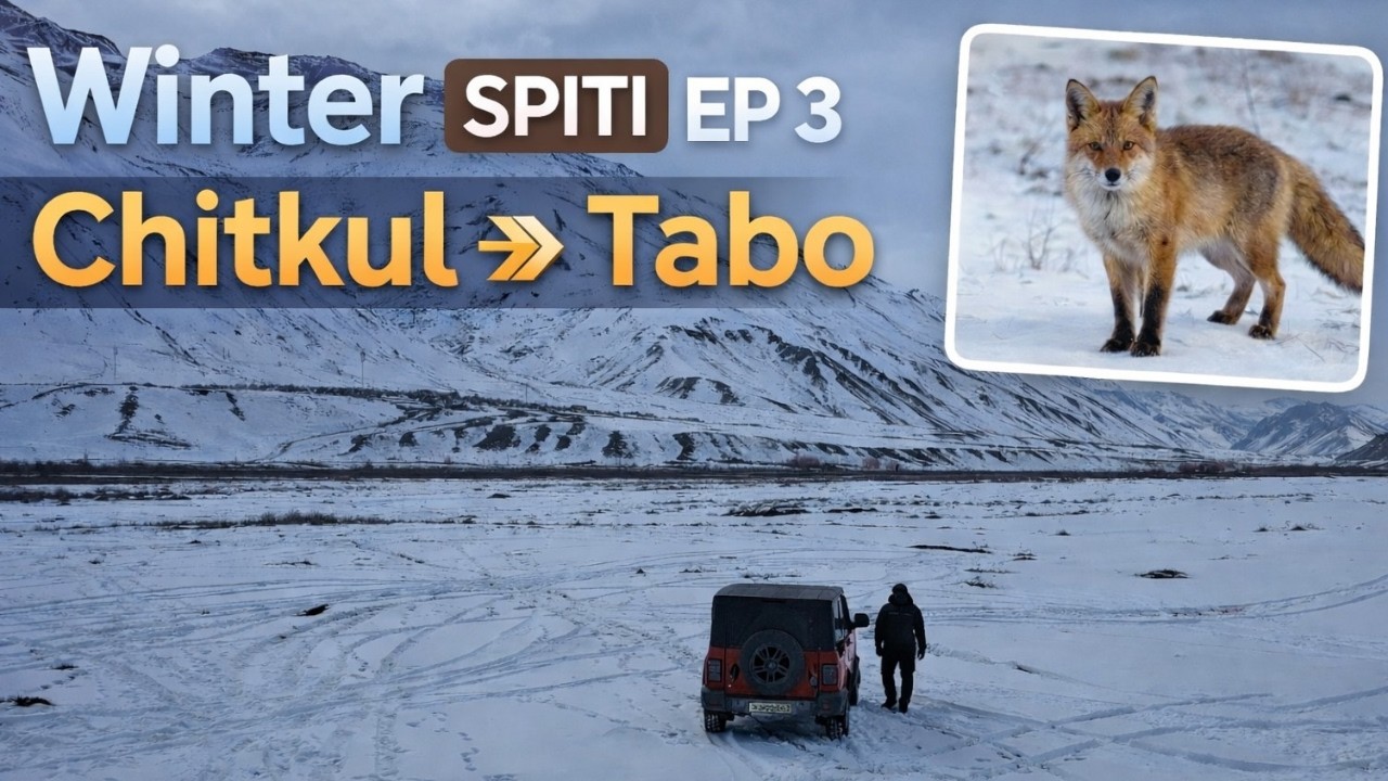 Winter Spiti 2026 Series EP 3 ❄️ | Black Ice Drive 😱 | Chitkul to Tabo | Fox Spotted 🦊🚙 #winterspiti