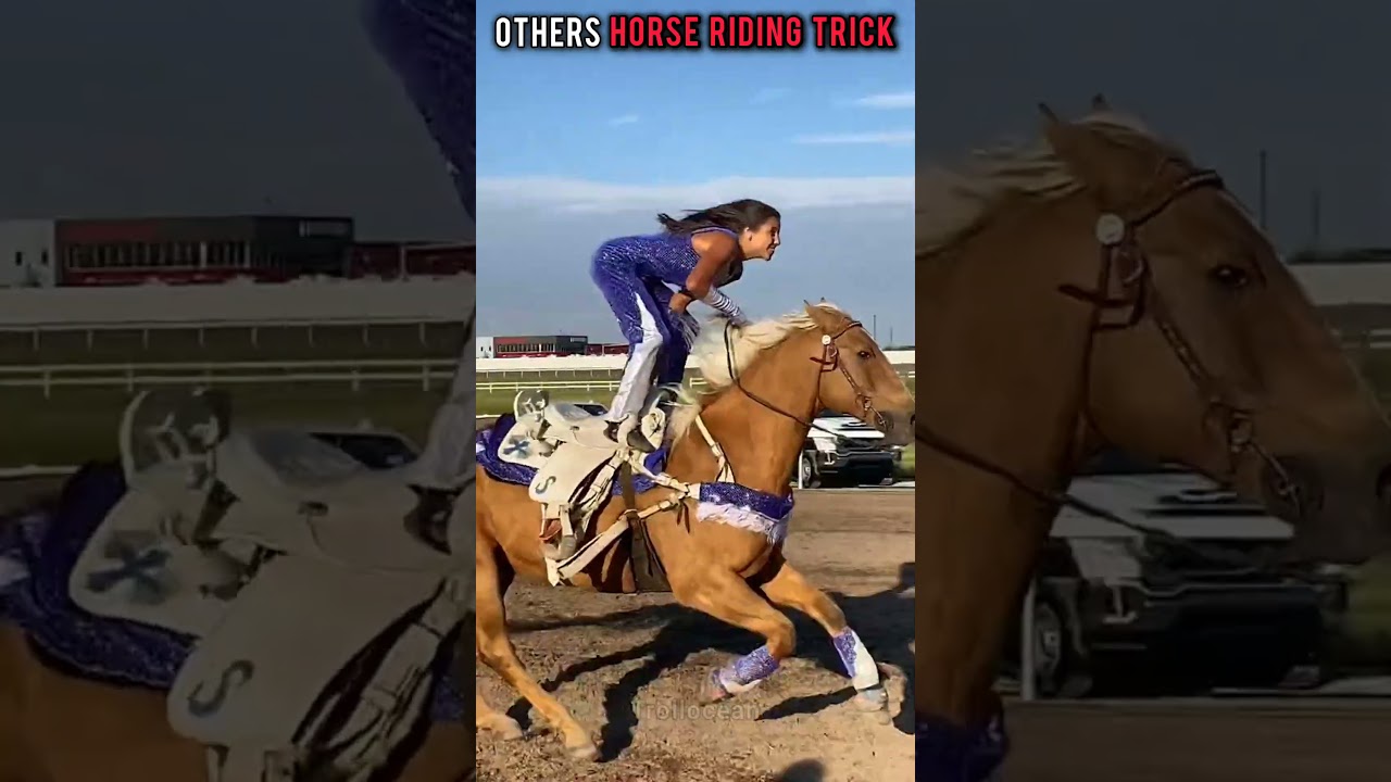 Others horse riding trick vs The Last One☠️| 