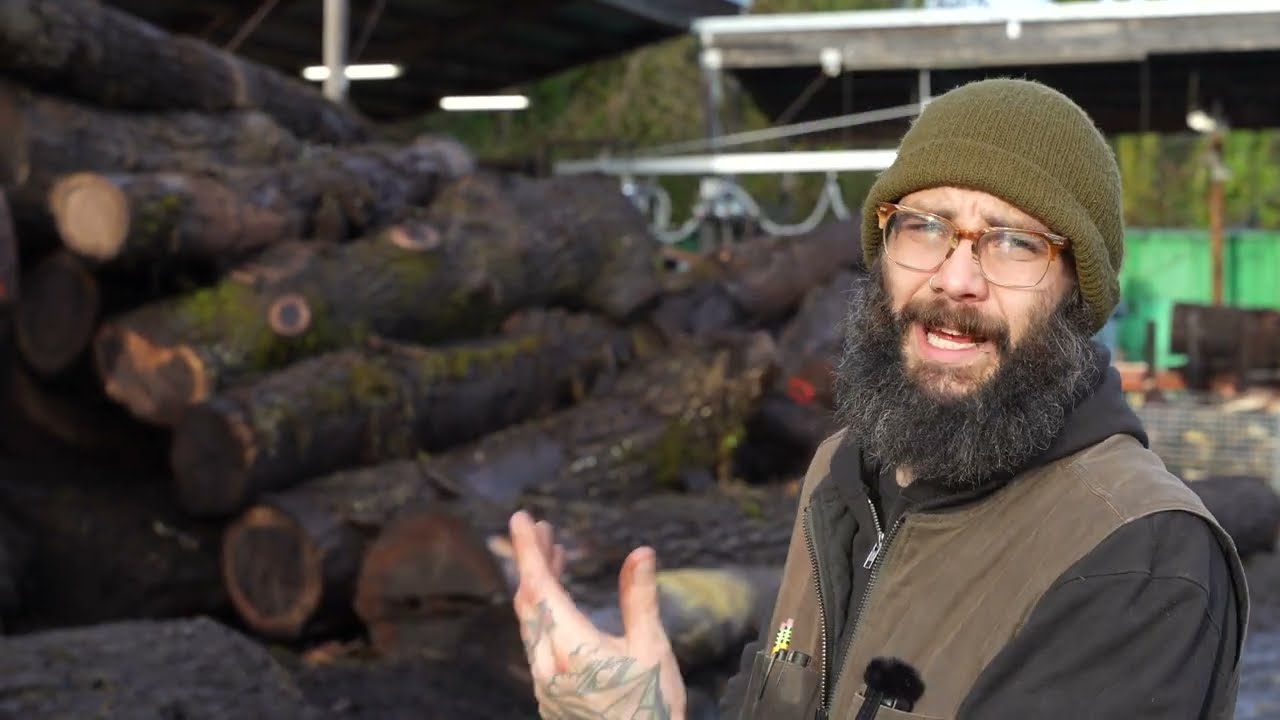 Sawmilling Oregon Black Walnut Bookmatched Slabs
