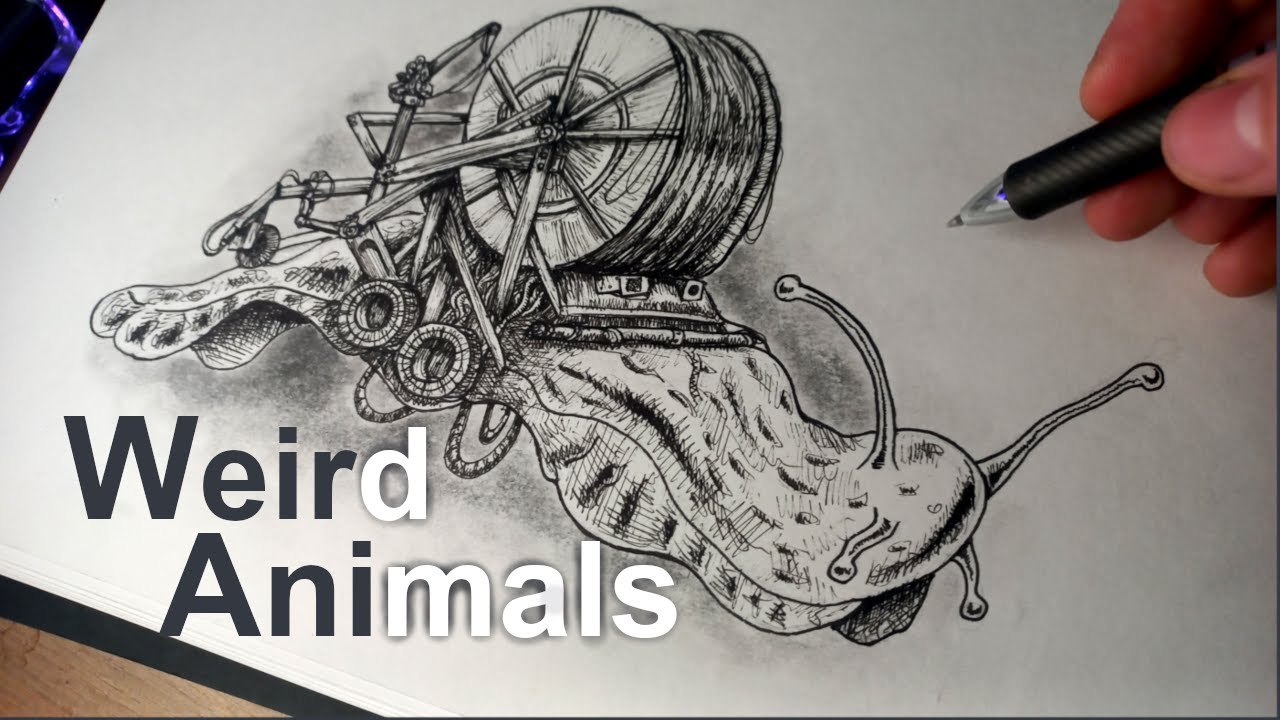 Drawing Animals not from This World (Pen and Ink)