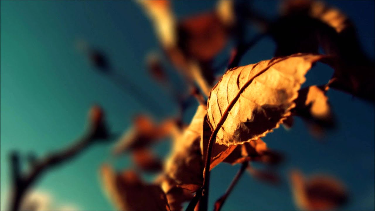 Tomek N - October