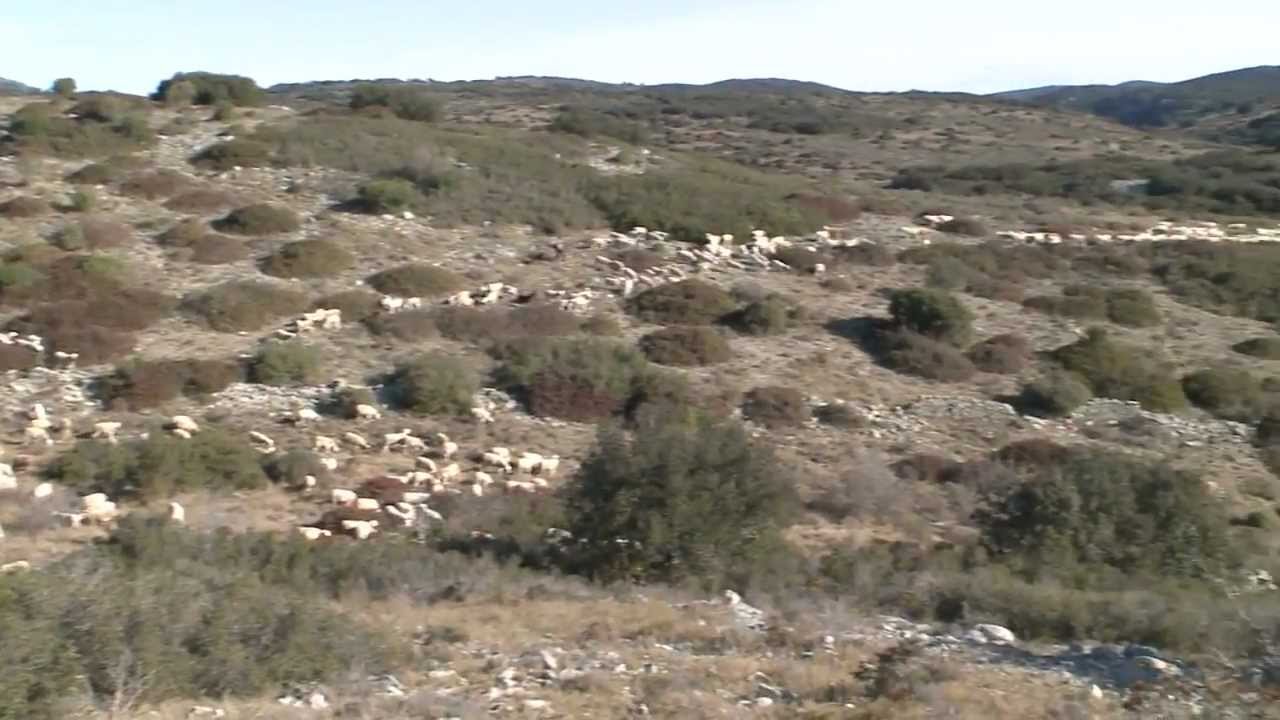 Béziers, 