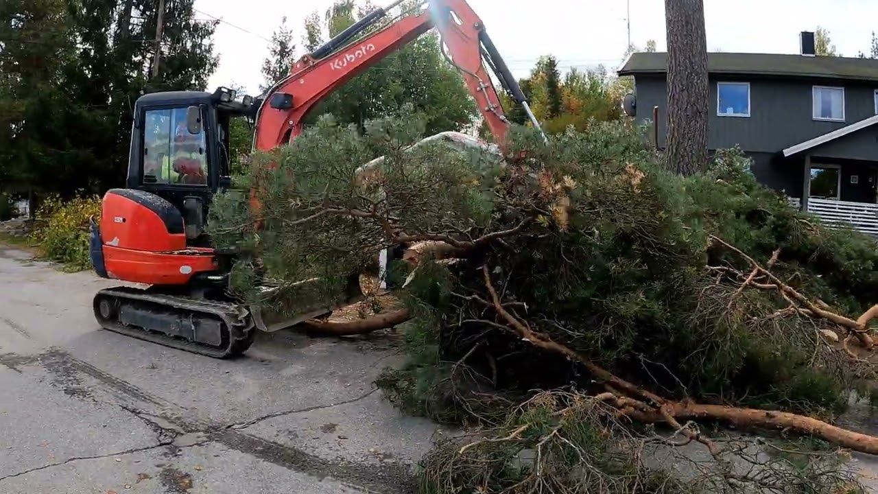 Eidskog trefelling