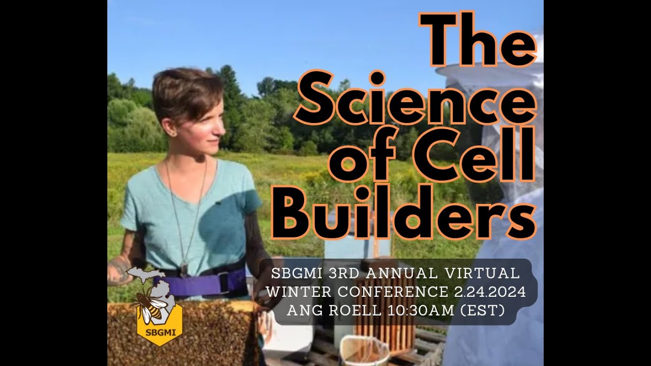 Explaining the Curiosities of Queen Cell Builder Science