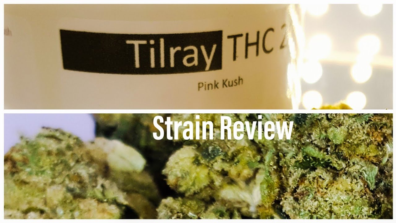 Medizinisches Cannabis Tilray THC 22 Vancouver Pink Kush Review