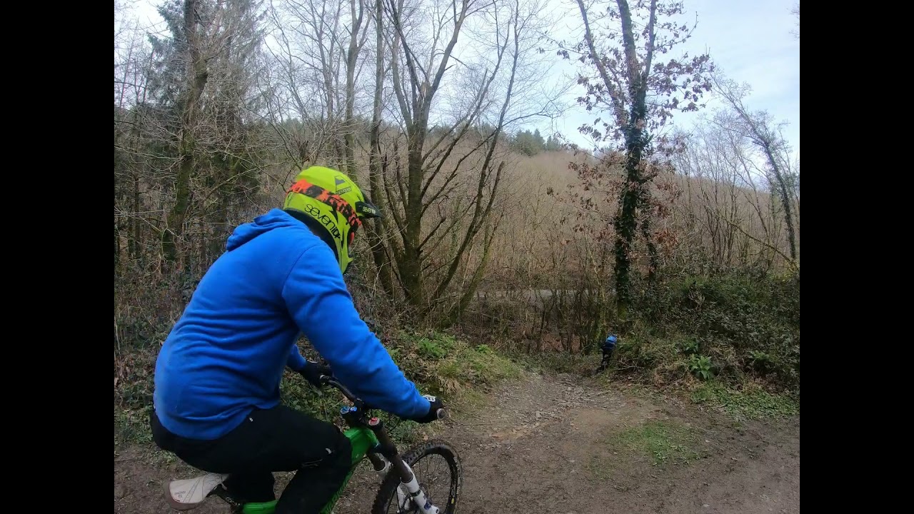 Tracton Woods Day 4