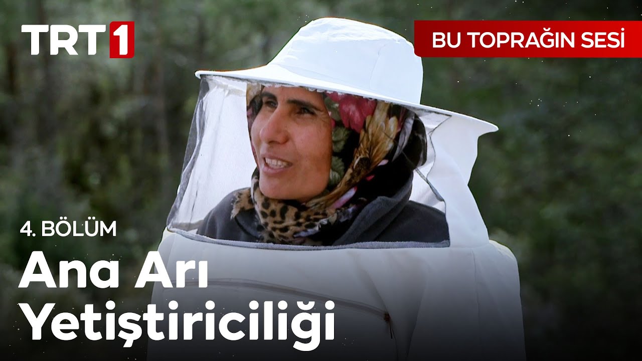 Ana Arı Yetiştiriciliği Nasıl Yapılıyor? - Bu Toprağın Sesi 4. B&ouml;l&uuml;m