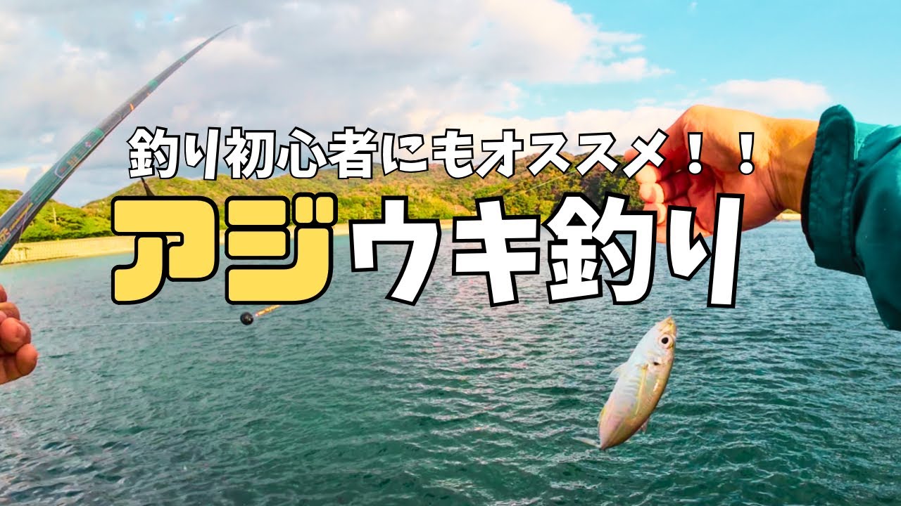 釣り初心者にもオススメ！アジのウキ釣りを楽しむ