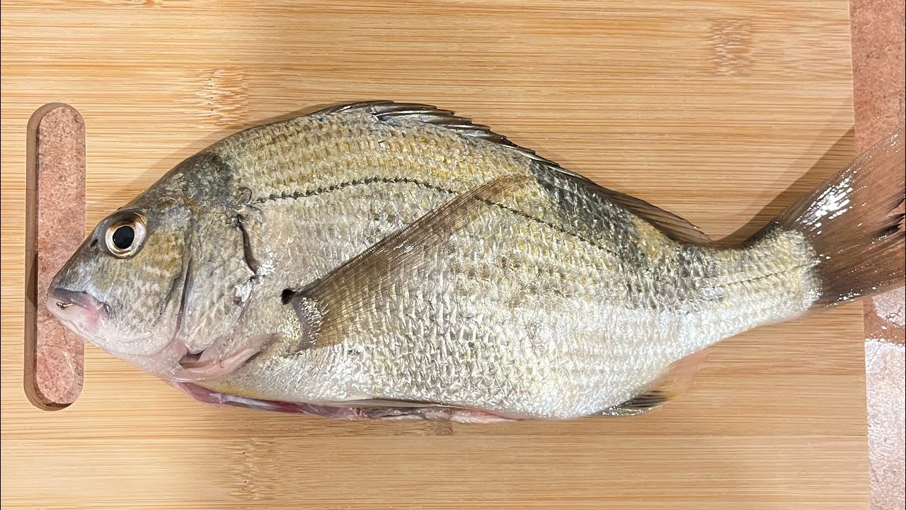 オーストラリアでコーンで魚を釣って海鮮丼にして食べた
