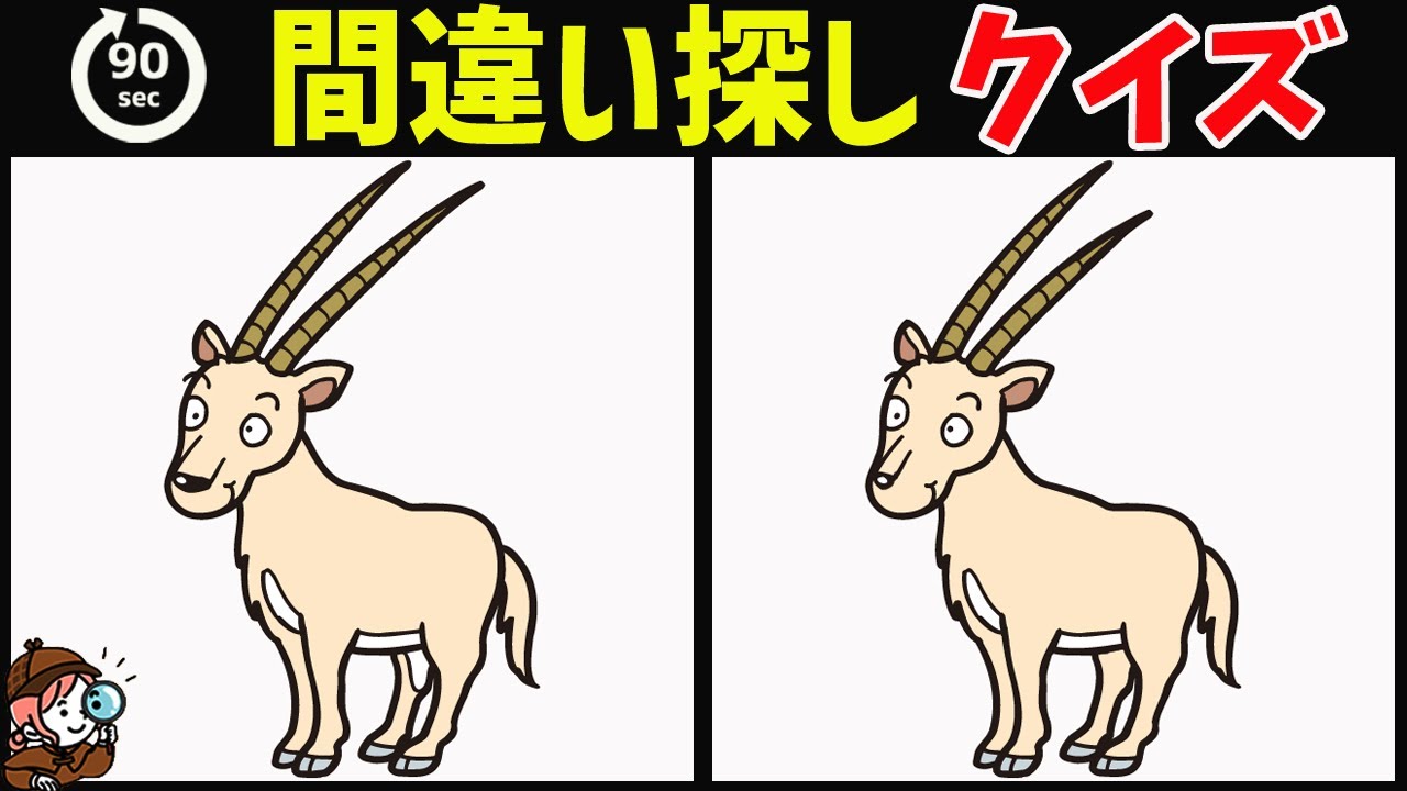 【間違い探しクイズ】無料脳トレ動画で脳が若返り！イラスト間違い探しで楽しく頭の体操【老化防止/認知症予防に最適】