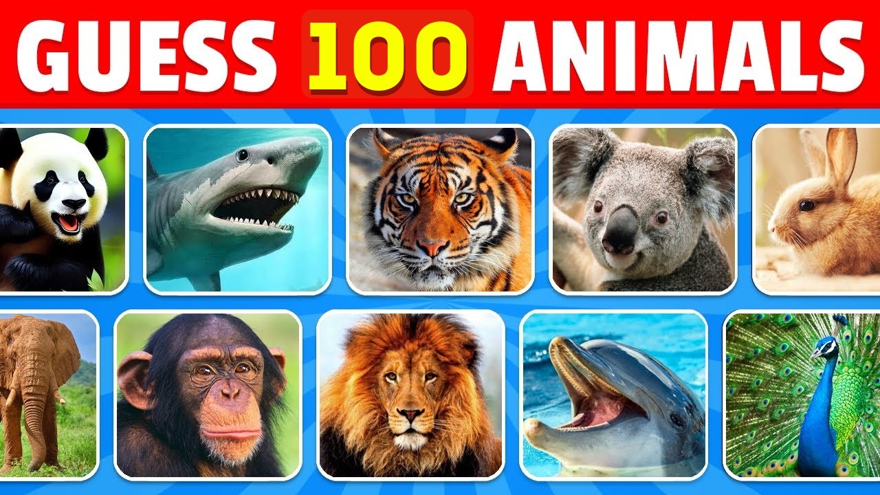 Guess 100 Animals in 3 Seconds | Easy, Medium, Hard, Impossible