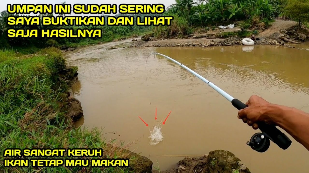 Umpan Ampuh Mancing di Air Yang Sangat Keruh Lihat Hasilnya