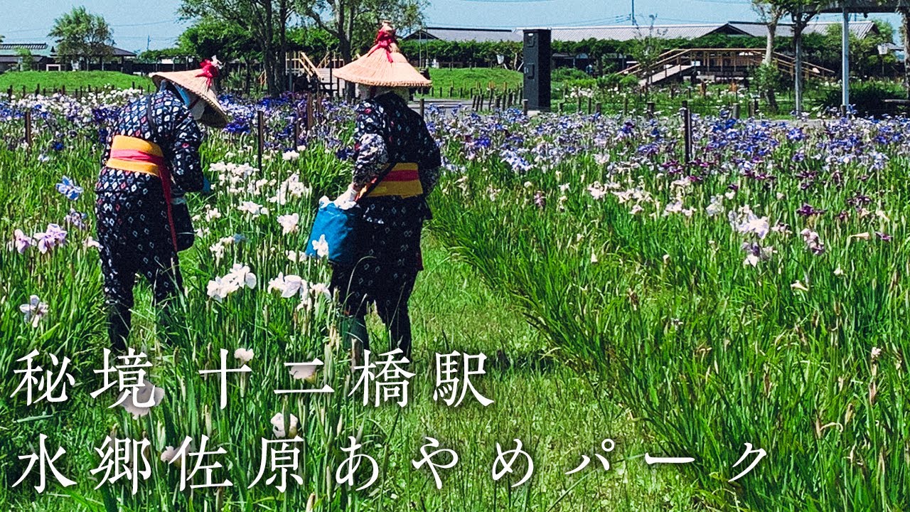 Train journey to Japanese unique station in big rice fields | Japan Travel Vlog #pov #photography