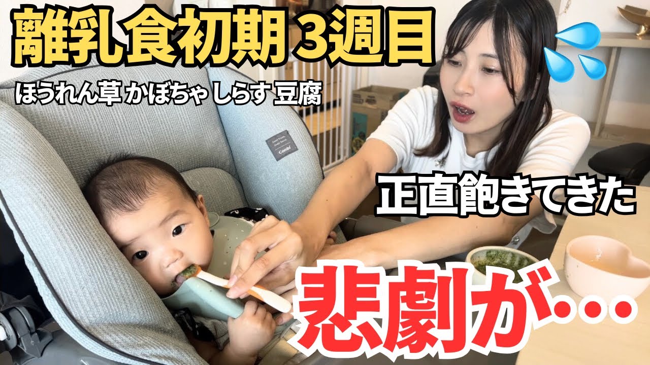 【離乳食初期レシピ】正直大変すぎて飽きてるずぼら主婦。みんなはどう？【生後7ヶ月】